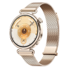 Montre Connectée Huawei Watch GT 6 41mm Gold Strap