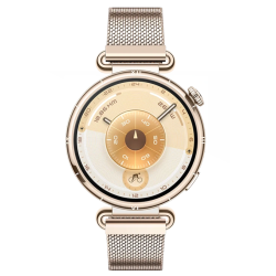 Montre Connectée Huawei Watch GT 6 41mm Gold Strap