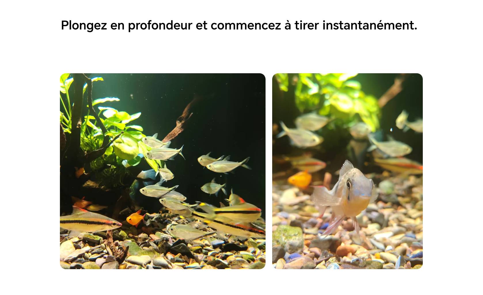 Appareil-Photo-Honor-X9e-Pro-5G-prix-tunisie